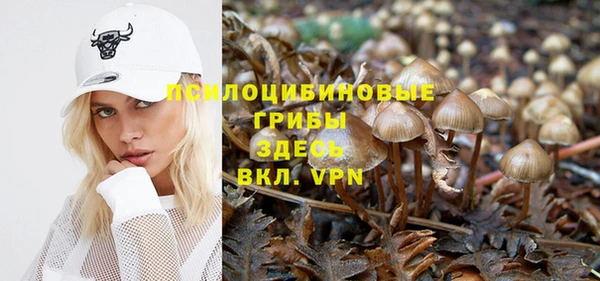 стаф Бугульма