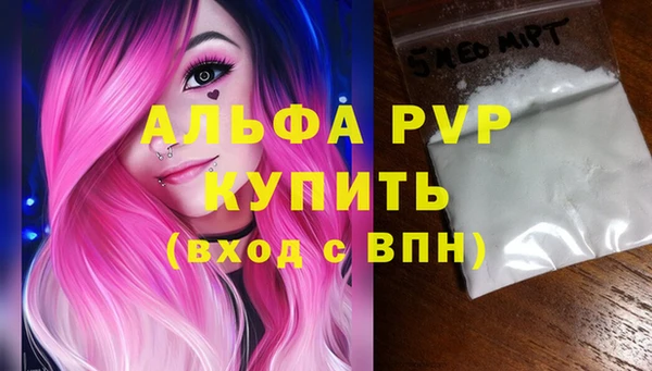 индика Верея