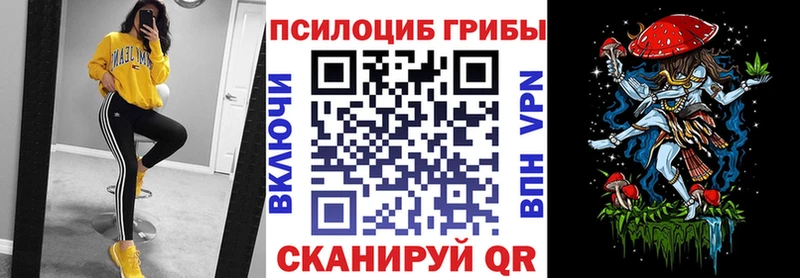 гидра как войти  Горбатов  Псилоцибиновые грибы Psilocybe 